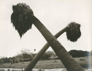 「Los Angeles Spring / Robert Adams」画像2