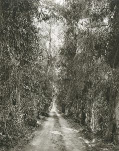 「Los Angeles Spring / Robert Adams」画像3