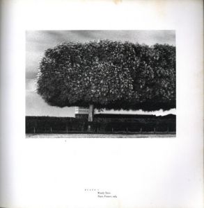 「Michael Kenna: Night Walk / Photo: Michael Kenna」画像1