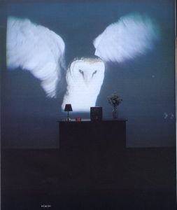 「RAYGUN #72 October 1999 / Publisher: Seth Seaberg」画像6