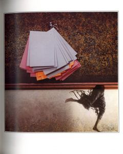 「Sam Haskins Photo Graphics / Sam Haskins」画像4