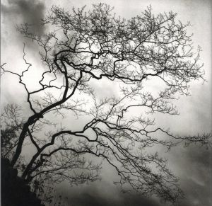 「Forms of Japan / Michael Kenna」画像1