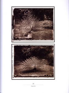 「VRAIS SEMBLANTS / Sarah Moon 」画像1