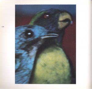 「COINCIDENCES / Sarah Moon」画像3