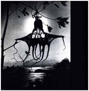 「SWEET LIFE / Ed van der Elsken」画像2