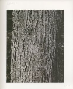 「Stephen Shore / Author: Stephen Shore, Christy Lange, Michael Fried, Joel Sternfeld」画像5