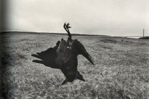 「ジョセフ・クーデルカ展 / ジョセフ・クーデルカ」画像4