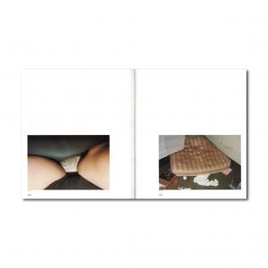 「AMERICAN SURFACES STEPHEN SHORE / Stephen Shore」画像13