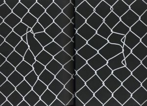 「Fence / Alessandro Simonetti」画像1