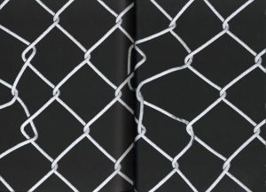 「Fence / Alessandro Simonetti」画像2