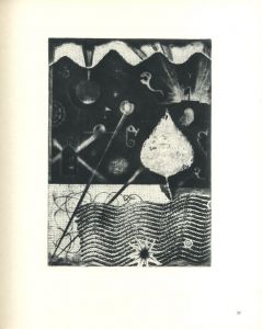「駒井哲郎 銅版画作品集 / 著：駒井哲郎　文：岡田隆彦、岡鹿之助、埴谷雄高」画像3