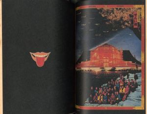 「REMIX 少年マガジン大図解 第2巻「人は情報」 / 企画・構成：大伴昌司　表紙：横尾忠則」画像3