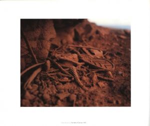 「Rockfalls, Rivermouths, Ponds / Jem Southam」画像1