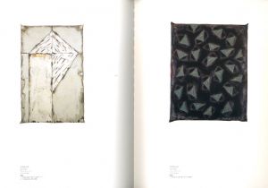 「野田裕示作品集 / 野田裕示　編：和歌山県立近代美術館」画像2