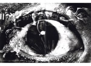 「薔薇刑・新版 / 被写体・序文：三島由紀夫　写真：細江英公　装本・写真構成：粟津潔」画像3