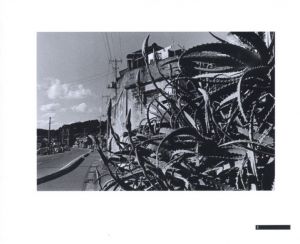 「背高あわだち草　尾仲浩二写真集　1988-91 / 尾仲浩二」画像2