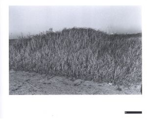 「背高あわだち草　尾仲浩二写真集　1988-91 / 尾仲浩二」画像3