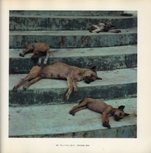 「太陽の鉛筆　沖縄・海と空と島と人びと・そして東南アジアへ / 著：東松照明」画像14