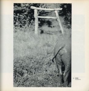 「太陽の鉛筆　沖縄・海と空と島と人びと・そして東南アジアへ / 著：東松照明」画像18