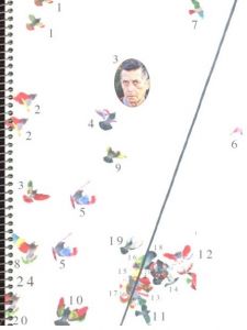 Paloma al aire / Photo: Ricardo Cases