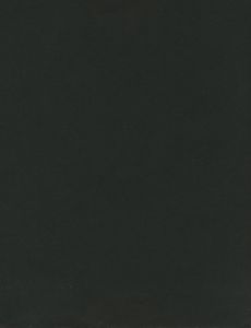 「佐伯俊男画集 / 佐伯俊男」画像1