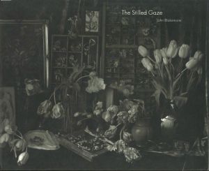 The Stilled Gaze / John Blakemore 