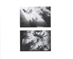 「The Stilled Gaze / John Blakemore 」画像5