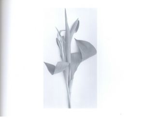 「The Stilled Gaze / John Blakemore 」画像1