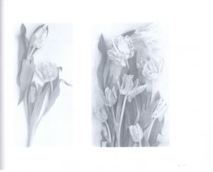 「The Stilled Gaze / John Blakemore 」画像2