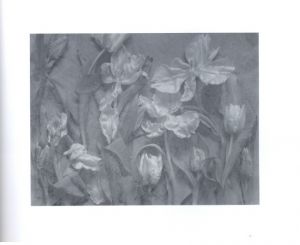 「The Stilled Gaze / John Blakemore 」画像3