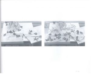 「The Stilled Gaze / John Blakemore 」画像4