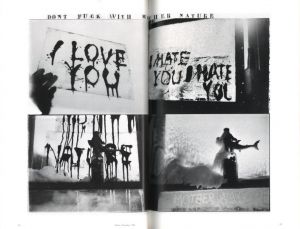 「FLAMINGO The Hasselblad Award 1996 / Author: Robert Frank」画像2