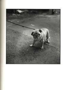 「代官山17番地 / ハービー・山口」画像6