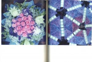 「Illuminance: The Tenth Anniversary Edition / 写真：川内倫子　執筆：デイビッド・チャンドラー、レスリー・A・マーティン、篠原雅武」画像2