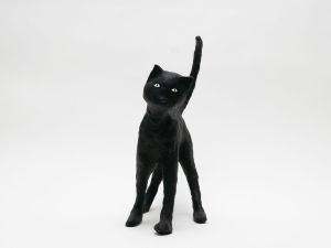 「The Cat / 菅谷晋一」画像1