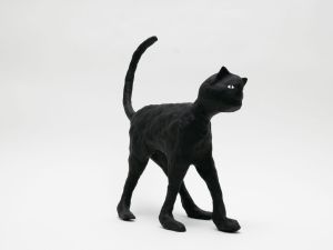 「The Cat / 菅谷晋一」画像2