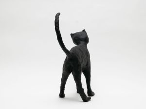 「The Cat / 菅谷晋一」画像5