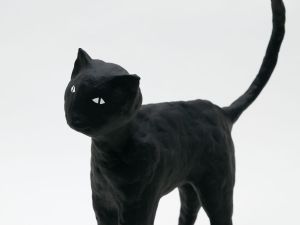 「The Cat / 菅谷晋一」画像9