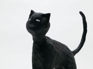 「The Cat / 菅谷晋一」画像10