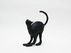 「The Cat / 菅谷晋一」画像2