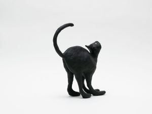 「The Cat / 菅谷晋一」画像6