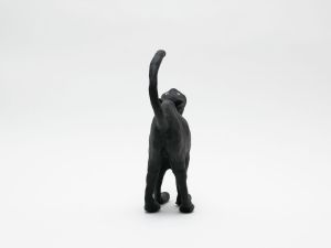 「The Cat / 菅谷晋一」画像7