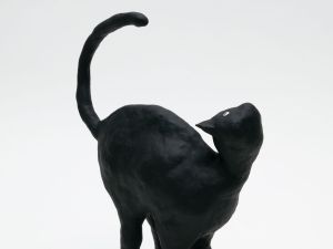 「The Cat / 菅谷晋一」画像10