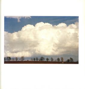 「The Democratic Forest Selected Works / Photo: William Eggleston」画像2