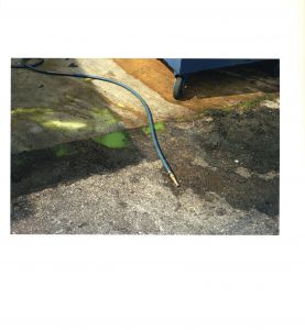 「The Democratic Forest Selected Works / Photo: William Eggleston」画像5