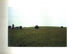 「ELECTION EVE / William Eggleston」画像1