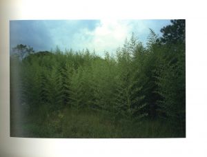 「ELECTION EVE / William Eggleston」画像3