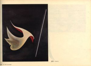 「岡本太郎展 / 岡本太郎」画像1