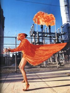 「HOTEL LACHAPELLE / David LaChapelle」画像2