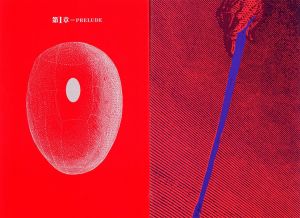 「BA・RA・KEI: ORDEAL BY ROSES / Model, Preface: Yukio Mishima　Photo: Eikoh Hosoe　Design: Kiyoshi Awazu」画像6